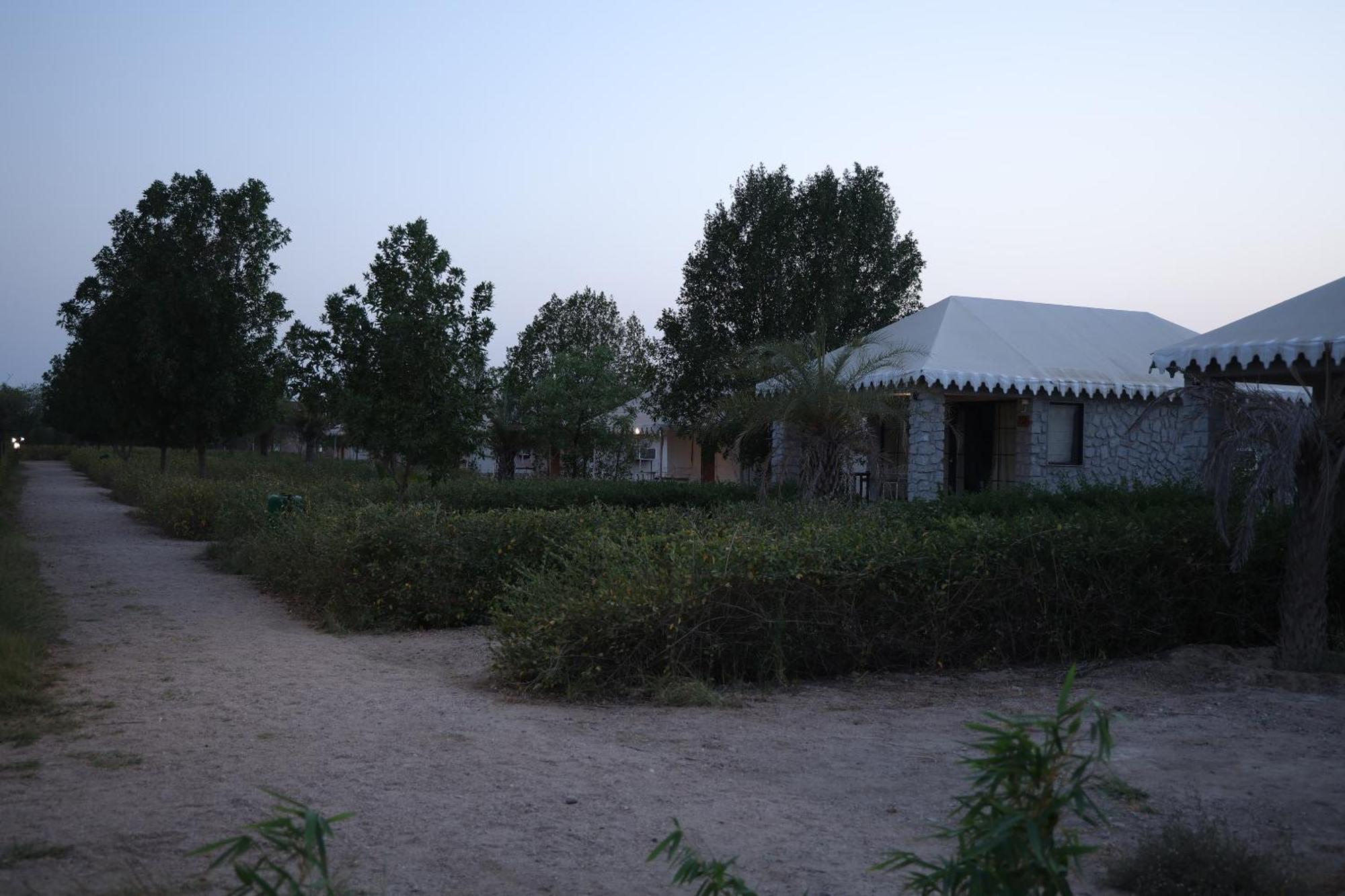 Jawai Bera Leopard Camp Hotel ภายนอก รูปภาพ