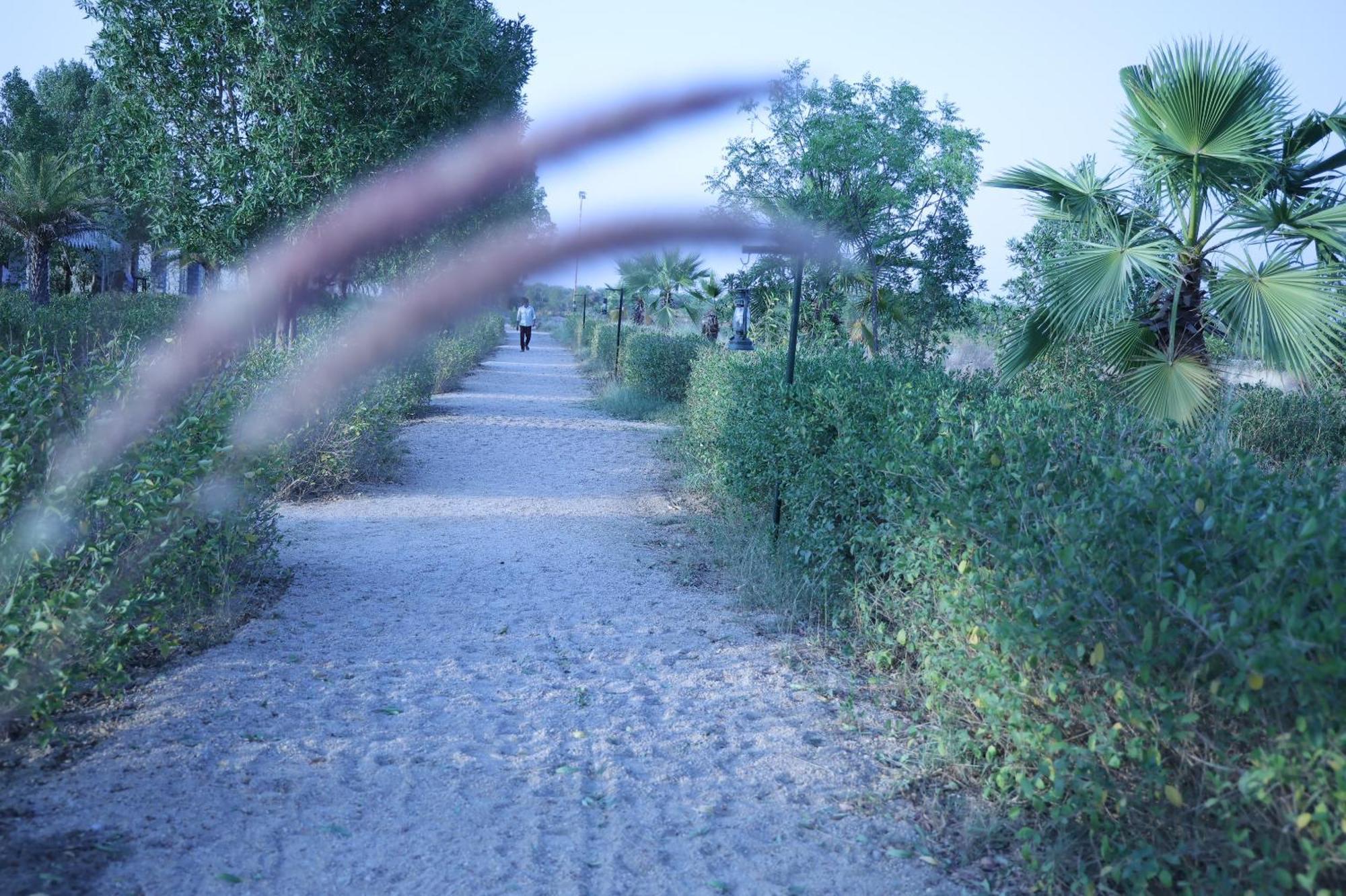 Jawai Bera Leopard Camp Hotel ภายนอก รูปภาพ