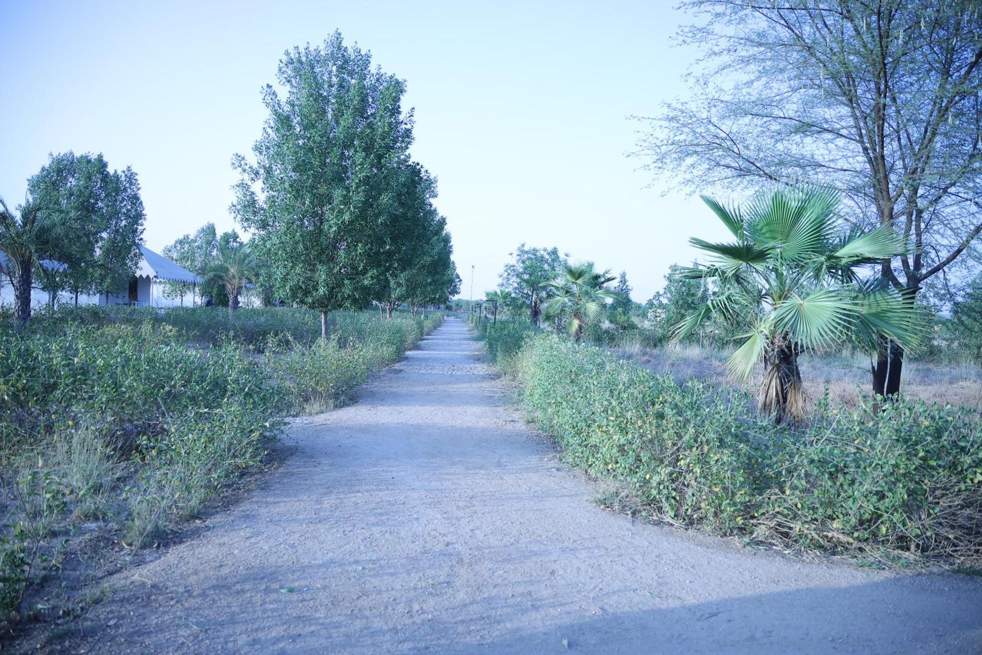Jawai Bera Leopard Camp Hotel ภายนอก รูปภาพ