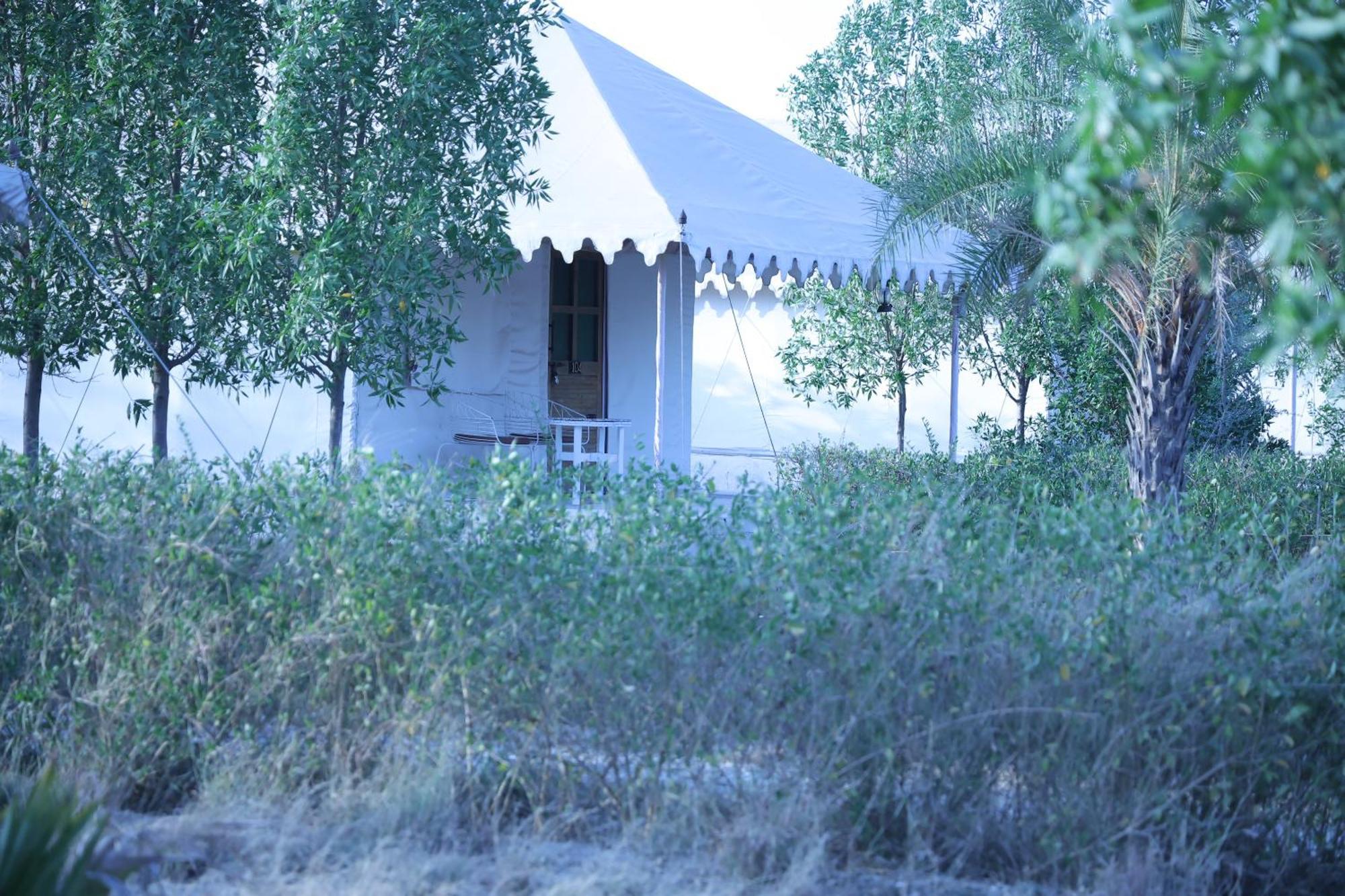 Jawai Bera Leopard Camp Hotel ภายนอก รูปภาพ