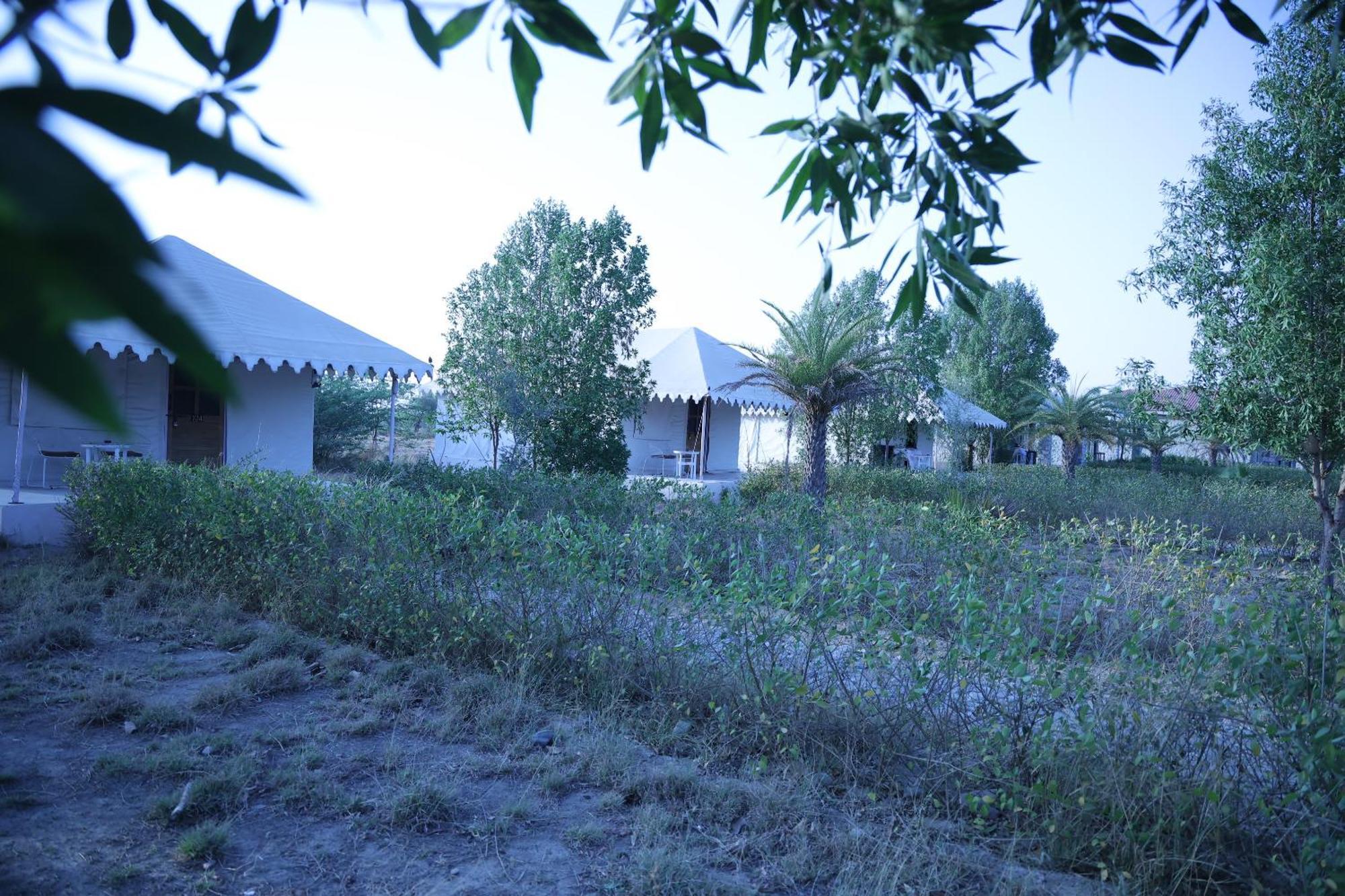 Jawai Bera Leopard Camp Hotel ภายนอก รูปภาพ